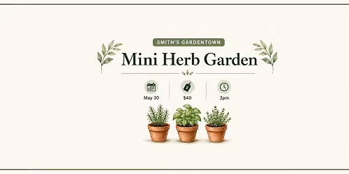 Mini Herb Garden Class