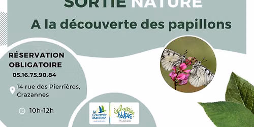 A la d\u00e9couverte des papillons 