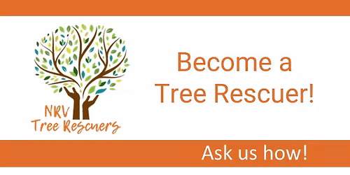SECOND Friday NRV Tree Rescuers Workday