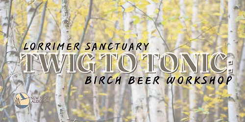 Twig to Tonic: Birch Beer Workshop