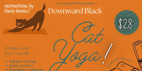 Downward Black Cat Yoga