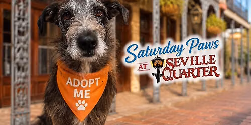 Saturday Paws at Seville Quarter