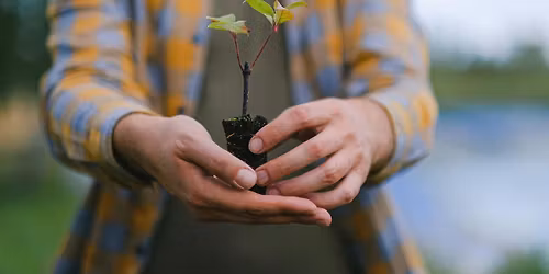 America 250 Kentucky Liberty Tree Dedication