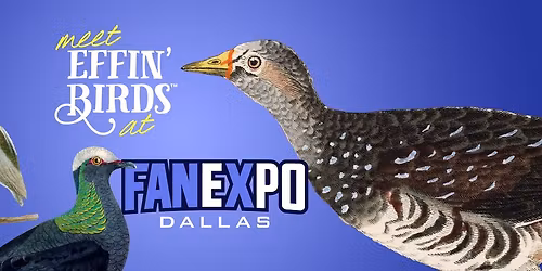 Effin\u2019 Birds at FAN EXPO Dallas