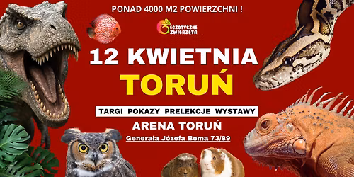 TORU\u0143 12 KWIETNIA - EGZOTYCZNE ZWIERZ\u0118TA - TERRARYSTYKA AKWARYSTYKA BOTANIKA i wiele wi\u0119cej