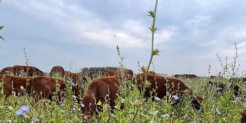 Lighthouse Farm popup shop