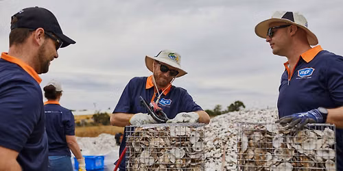 Shellfish Reef Module Working Bee, QLD