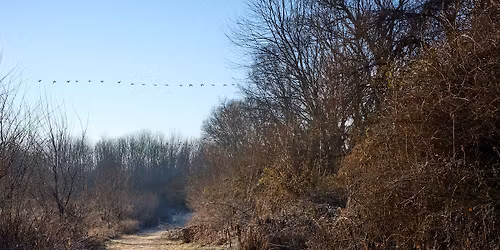 Bird banding at Garvin Brown