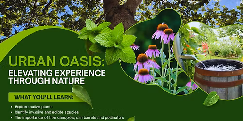 Urban Oasis: Elevating Experience Through Nature