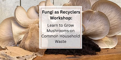 Fungi as Recyclers: Grow Mushrooms on Common Household Waste