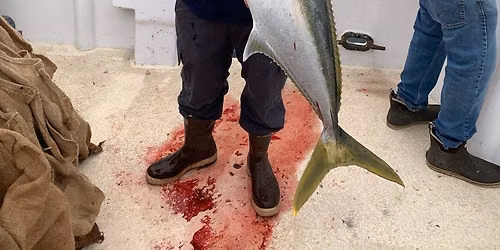 July 23rd, 2026 - Overnight Charter\/w Mirage Sportfishing
