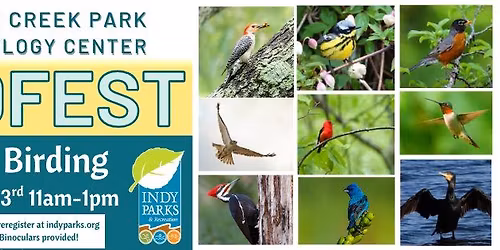 BIRD FEST: Mindful Birding