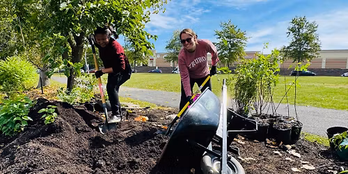 Volunteer at Gateway Park