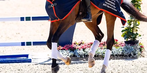 Boyd Martin Clinic