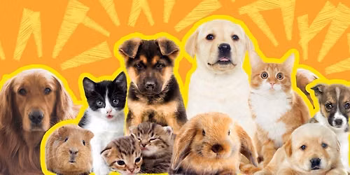 Blessing of the Pets