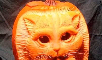 JACK-O-LANTERN contest.