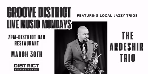 The Ardeshir Trio live at District Bar 
