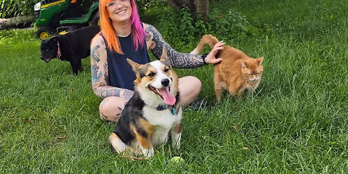 \ud83c\udf83Halloween Pop Up\ud83c\udf83