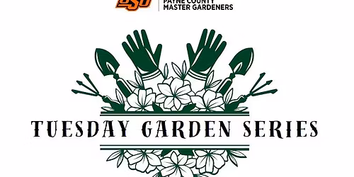 Tuesday Gardening Series - Container Gardening