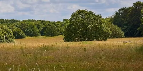 Tag med To p\u00e5 tur \u2013 Tur 3 Nordre F\u00e6lled: Soldaterhistorier og Bades\u00f8en