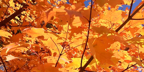 November Sunday\u2019s with Autumn Falls Entertainment at La Dolce Casa, Tamaqua