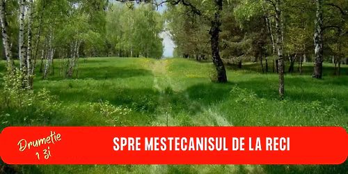 DRUMETIE 1 ZI SPRE MESTECANISUL DE LA RECI