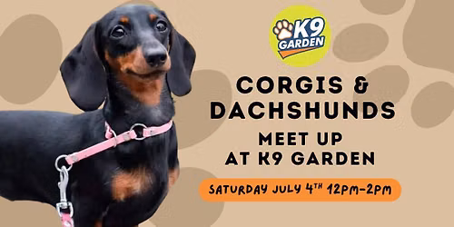 Corgi & Dachshund Breed Meetup at K9 Garden