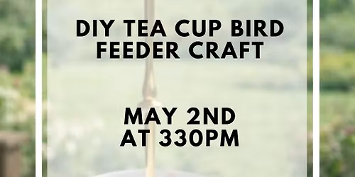 Tea Cup Bird Feeder Craft