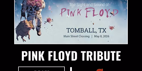 Bricks In The Wall - Pink Floyd Tribute
