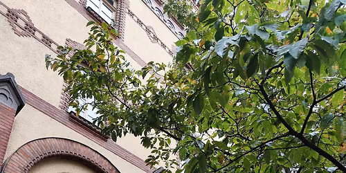 "Nem az\u00e9, aki akarja..."-l\u00e1togat\u00e1s a D\u00f3czy Gimn\u00e1ziumban