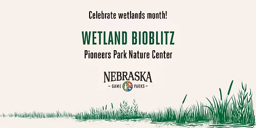 Wetland Bioblitz at Pioneers Park