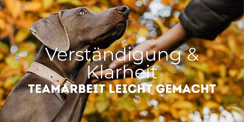 \ud83d\udc36\ud83d\udde3\ufe0fVerst\u00e4ndigung und Klarheit - Teamarbeit leicht gemacht