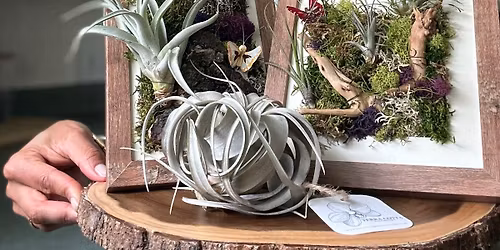 Living Frame Workshop with Terra Cotta Plant Boutique