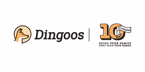 Una celebraci\u00f3n muy especial: 10 a\u00f1os de Dingoos