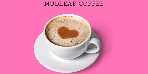 She Gathers Bible Study