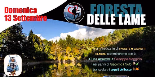 Foresta delle Lame: vi diremo cosa succede tra gli animali quando i sogni son realt\u00e0\u2026