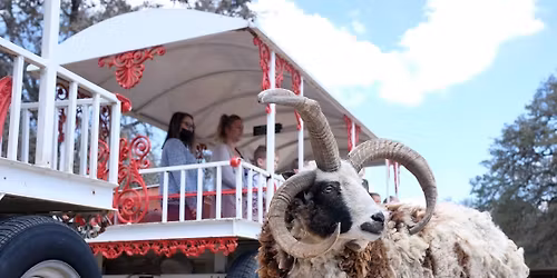 Yoga in the Wonder Cave