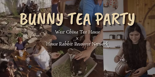 Bunny Tea Party at West China Tea House