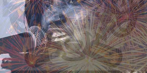 Erie Seawolves Firework night 
