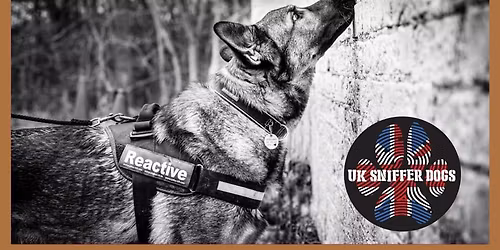 UK Sniffer Dogs Scent Detection Bronze Instructor - Manchester 