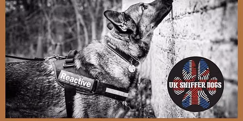 UK Sniffer Dogs Scent Detection Bronze Instructor - Manchester 