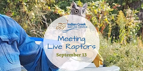 Meeting Live Raptors