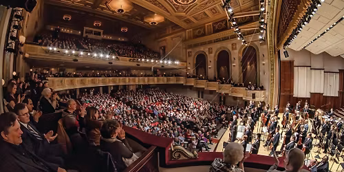 'Cats Night Out at the DSO