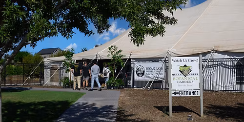 Pecan Lake Farmers Market - Family Fun and Local Finds!
