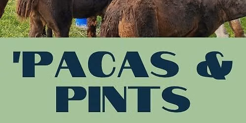'Pacas & Pints