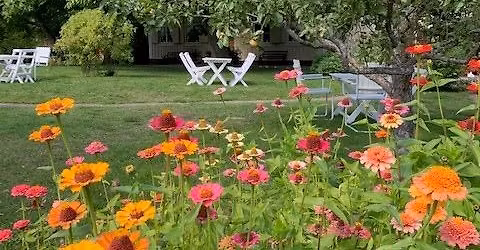 Kulturverkstad p\u00e5 Krusenstiernska g\u00e5rden