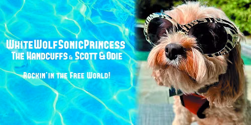 WhiteWolfSonicPrincess, The Handcuffs w\/Scott & Odie at Space