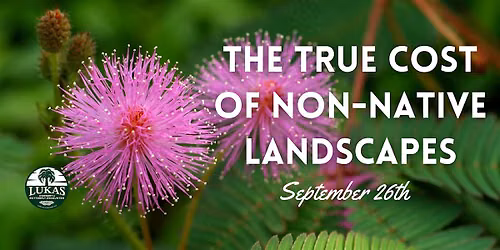 The True Cost of Non-Native Landscapes