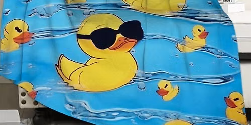 Duck, Duck, Steal