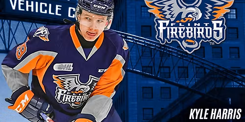 Parking Windsor Spitfires at Flint Firebirds